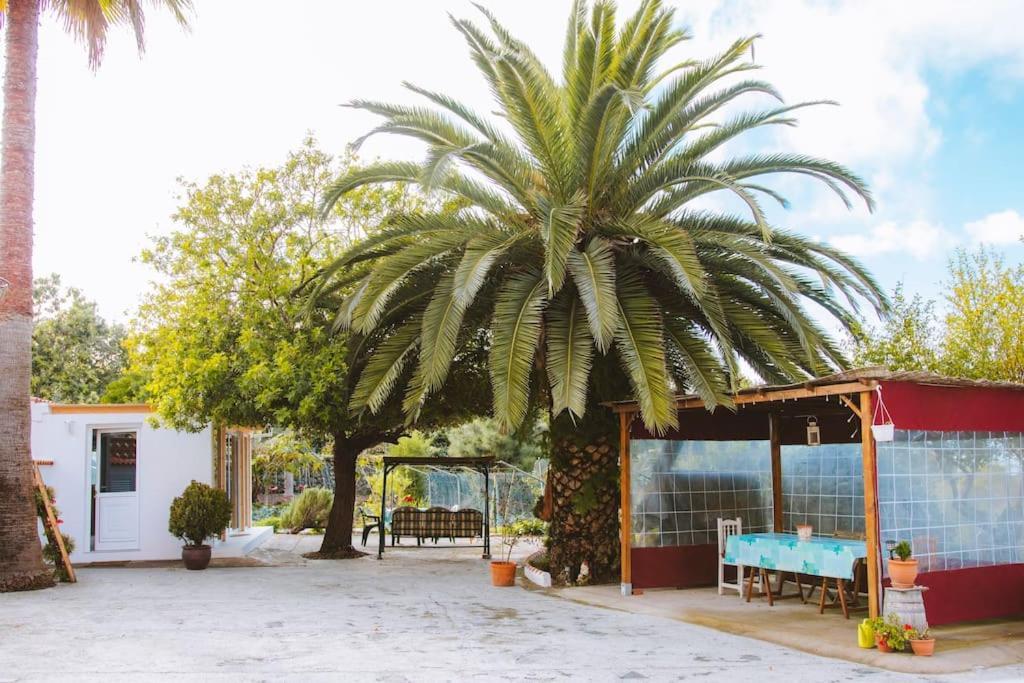 Casita Gopal Villa Icod De Los Vinos Luaran gambar